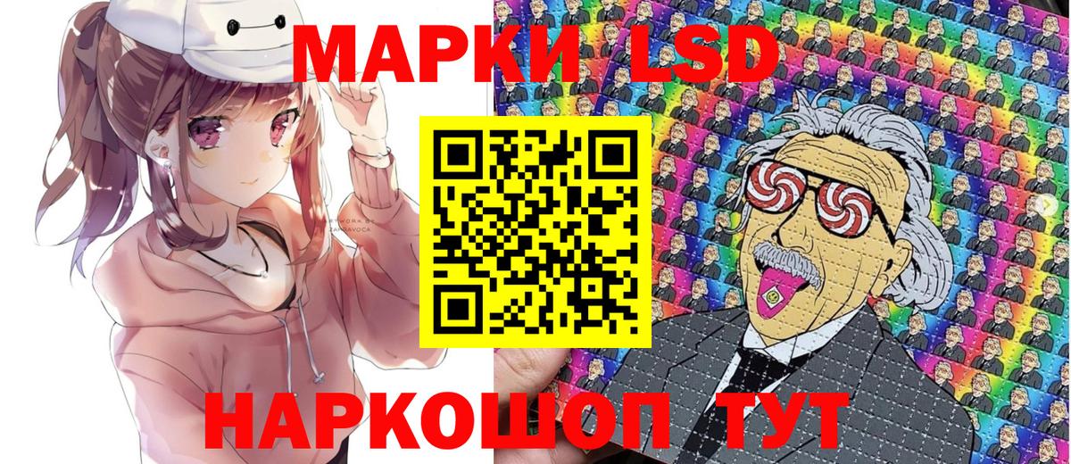  COCAIN Гатчина
