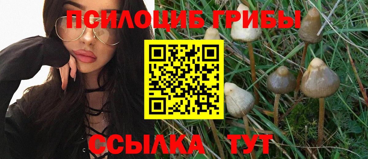 ГАШ  Вход с VPN  Гатчина  Меф МЯУ МЯУ   A-PVP СОЛЬ кристаллы  Меф МЯУ МЯУ  Codein  МАРИХУАНА  ГАШ 