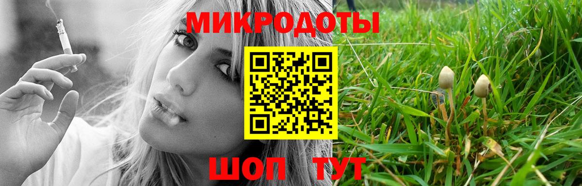 Псилоцибиновые грибы прущие грибы  Вход с VPN  Псилоцибиновые грибы Psilocybine cubensis  Гатчина 
